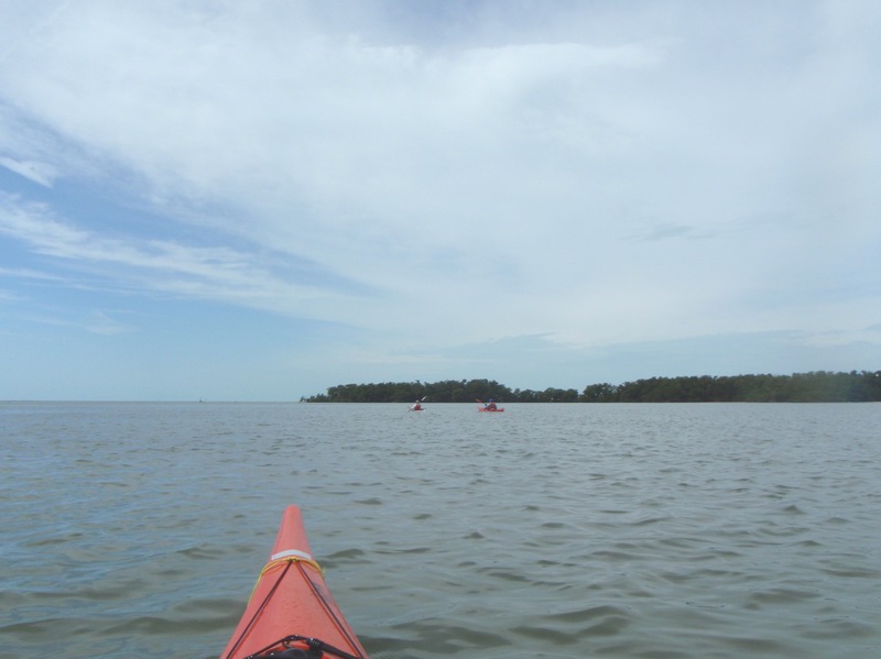 cape_sable19.jpg