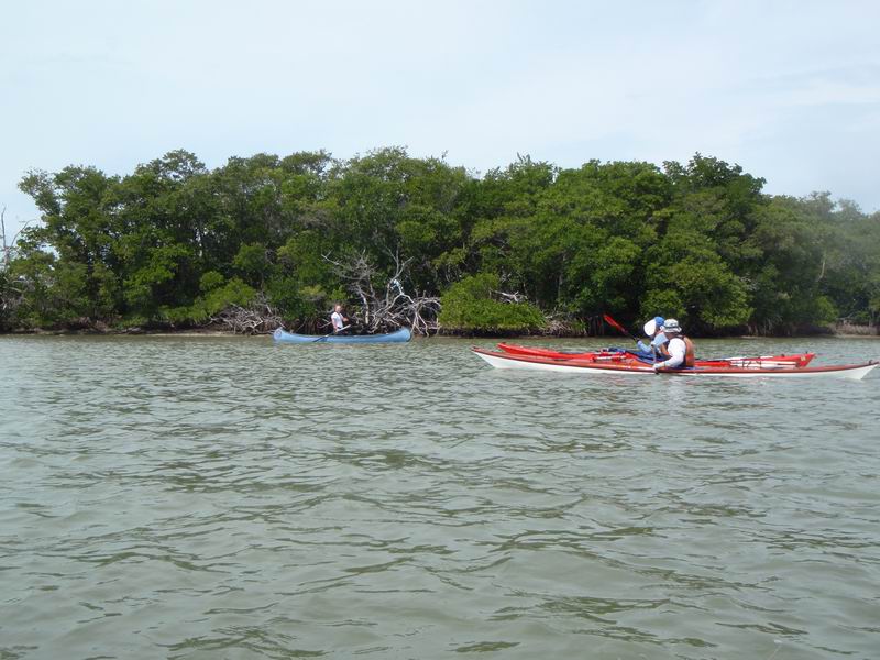 cape_sable20.JPG