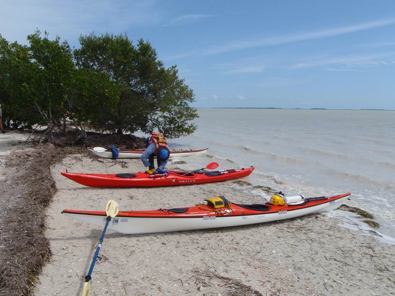 cape_sable23.JPG