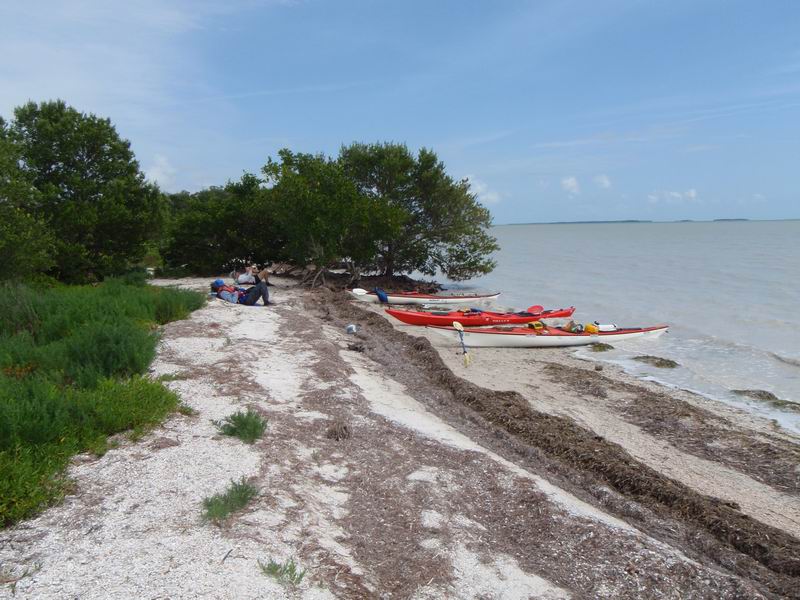 cape_sable24.JPG