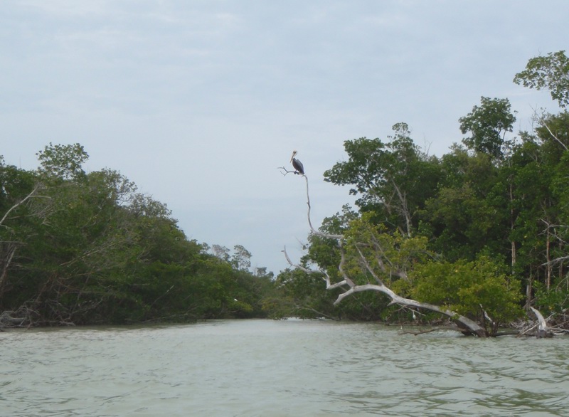 cape_sable25.jpg