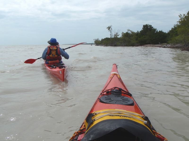 cape_sable26.jpg