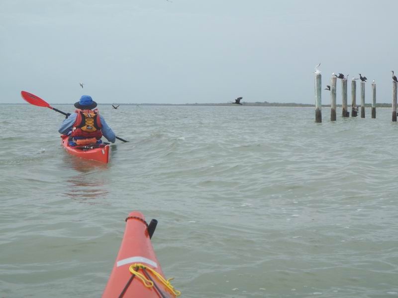cape_sable29.JPG