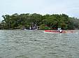 cape_sable20.JPG