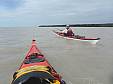 cape_sable21.JPG