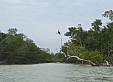 cape_sable25.jpg