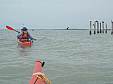 cape_sable29.JPG