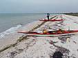 cape_sable31.JPG