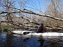 P4170031.JPG