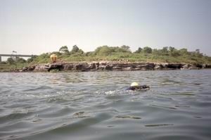 Aug03_savebay_20.jpg