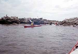 Aug0705_ricka_14.jpg