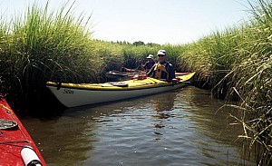 Aug1107_ricka_07.jpg