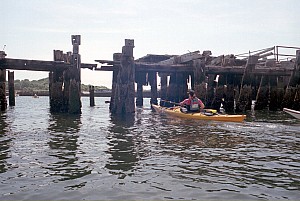 Aug2005_ricka_33.jpg