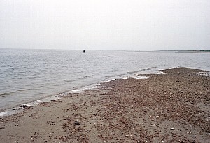 July3005_ricka_09.jpg