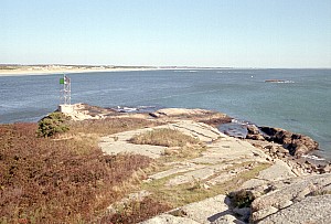 Oct2106_ricka_21.jpg