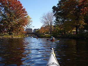 PA260043.JPG