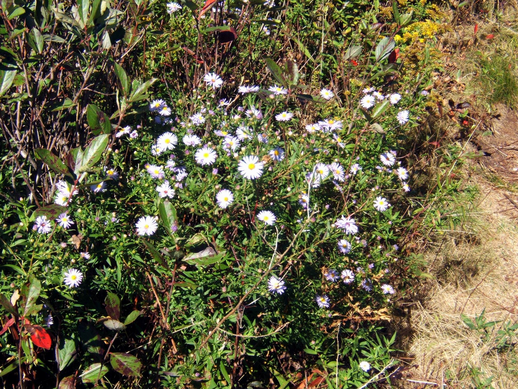 Sept2307_ricka_39.JPG