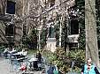 03-P4190004.JPG 03-P4190004.JPG