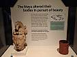 061-PC211487.JPG 061-PC211487.JPG