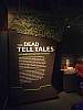 077-PC211506.JPG 077-PC211506.JPG