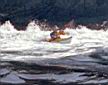 NFLD_ocean_swells_04.jpg
