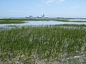 P6050065.JPG