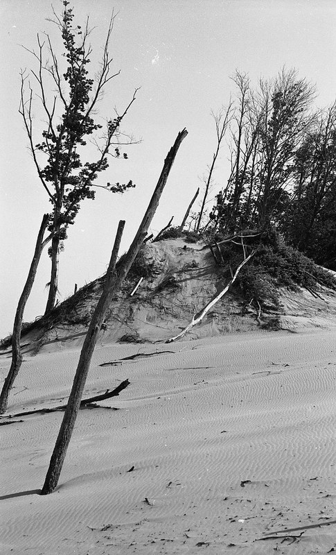 dunes_07.jpg