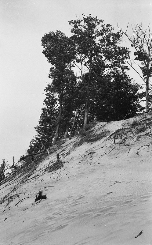 dunes_08.jpg