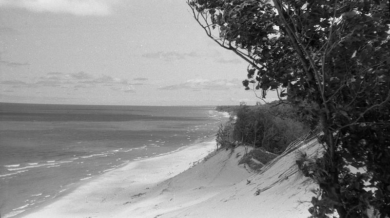 dunes_12.jpg