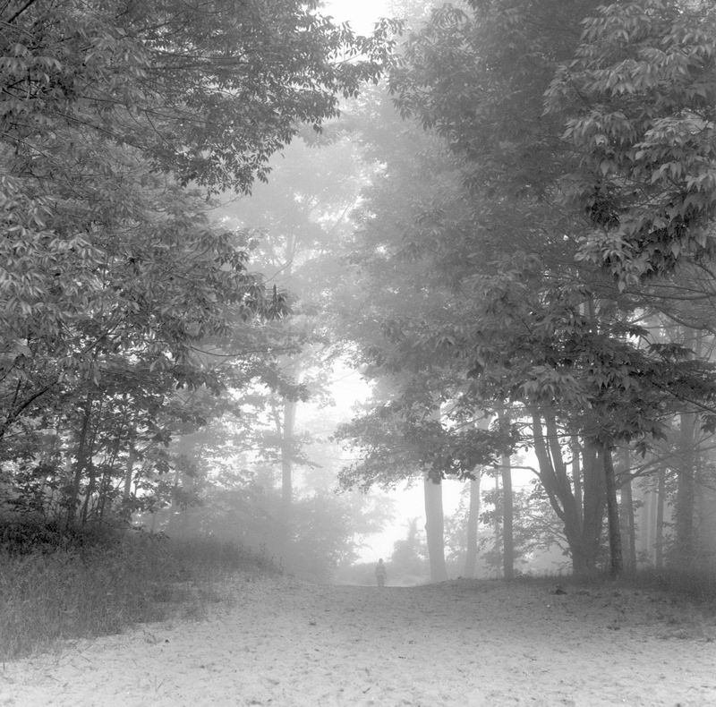 foggy_1.jpg