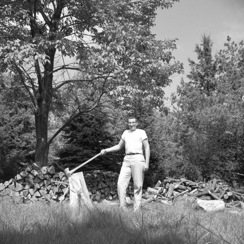 tree_cutting_4.jpg