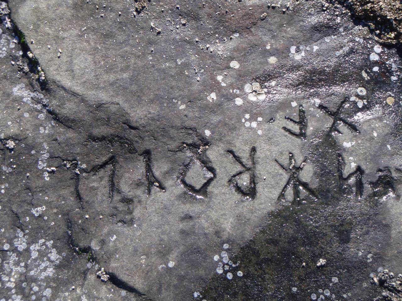 P4300112.JPG