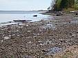 P4300057.JPG P4300057.JPG
