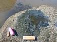 P4300064.JPG P4300064.JPG