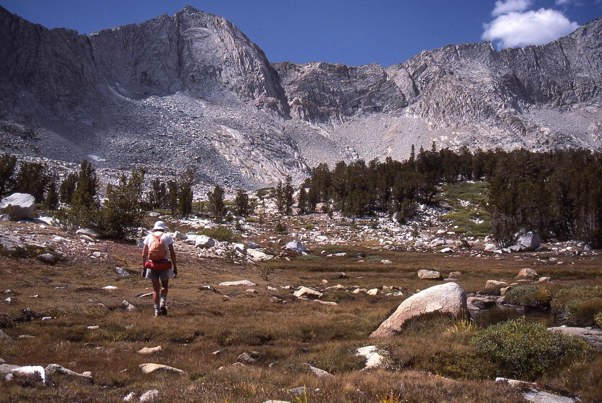 sierra_1987_120.jpg