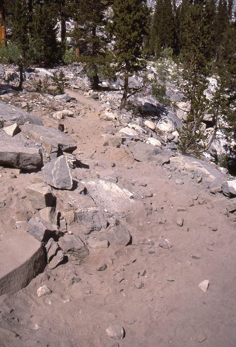 sierra_1987_132.jpg