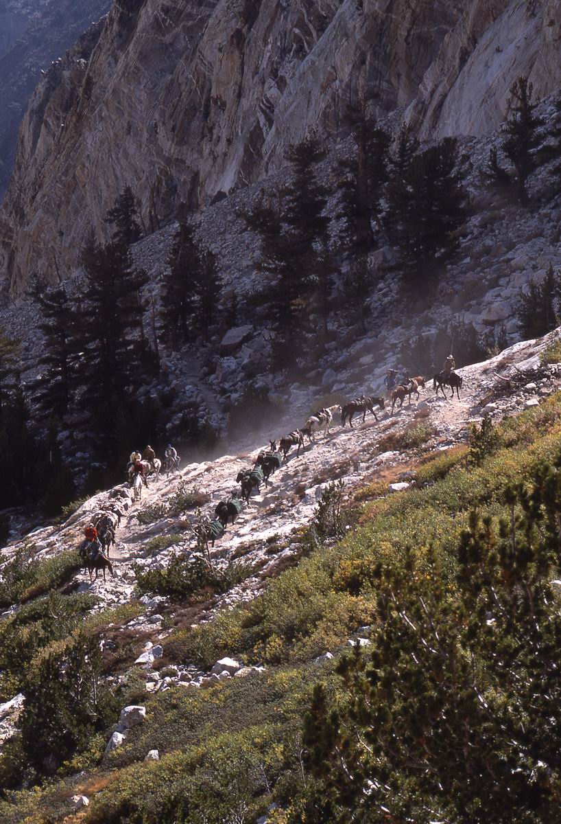 sierra_1987_139.jpg