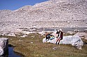 sierra_1987_099.jpg