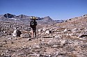 sierra_1987_108.jpg