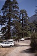 sierra_1987_141.jpg