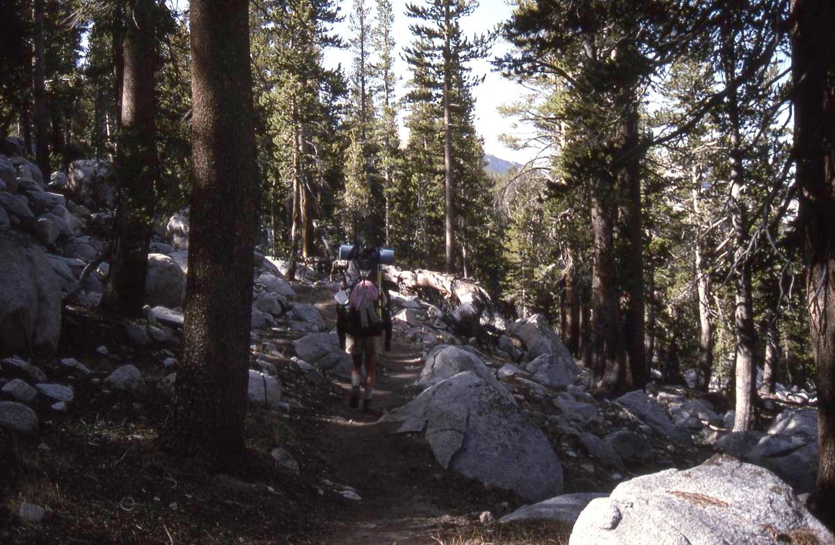 sierra_1992_056.jpg