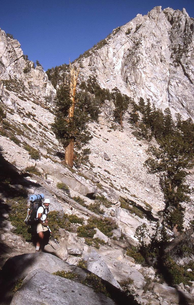 sierra_1992_089.jpg