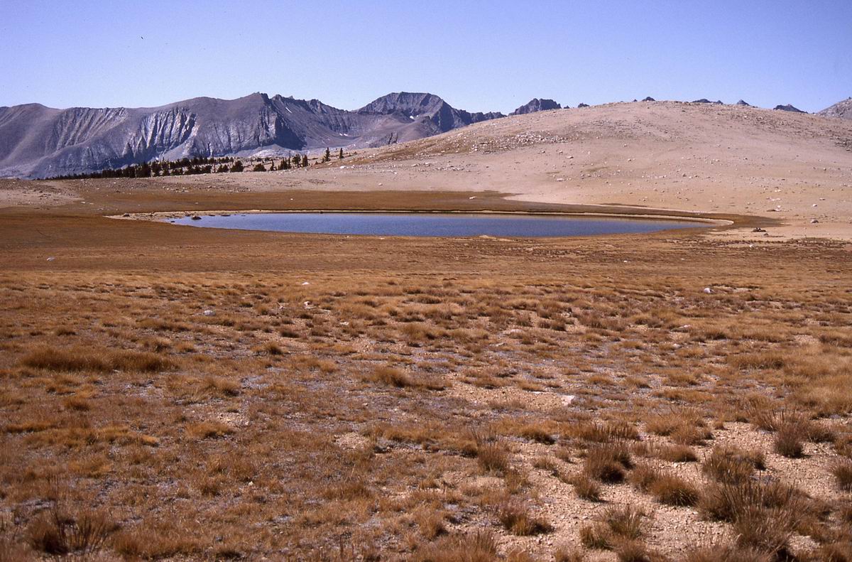 sierra_1992_114.jpg