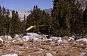 sierra_1992_057.jpg