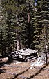 sierra_1992_075.jpg