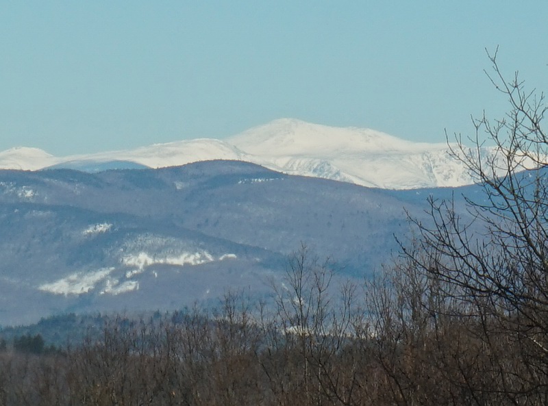 005-DSC00651b.jpg